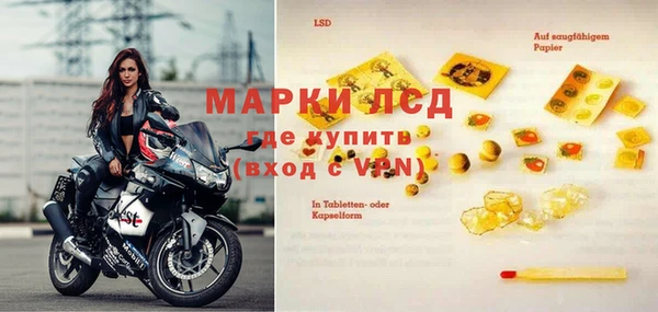 ГАЛЛЮЦИНОГЕННЫЕ ГРИБЫ Абаза